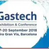 2018GASTECH巴塞罗那天然气展gastech总代理